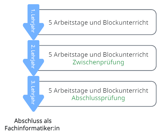 Grafik Ablauf Ausbildung Fachinformatiker:in